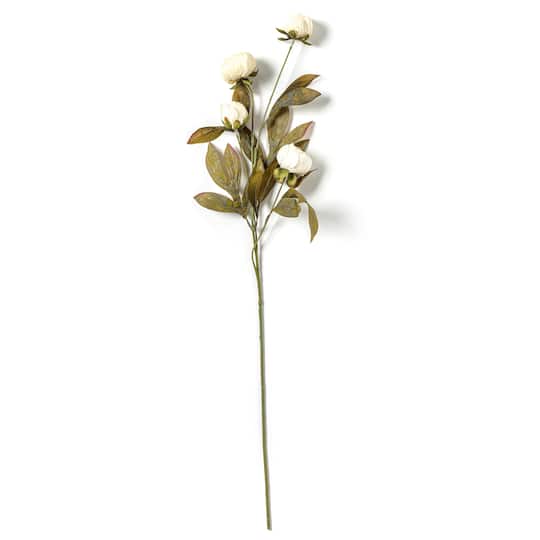 16 Pack: Cream Peony Stem by Ashland®